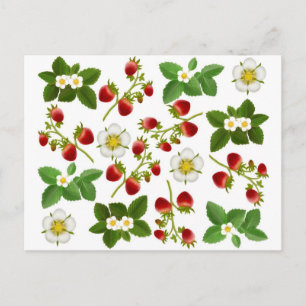 Strawberries Postcard