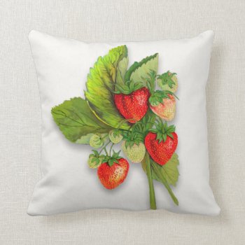 Strawberries  Realistic Vintage Botanical Drawing Throw Pillow by randysgrandma at Zazzle