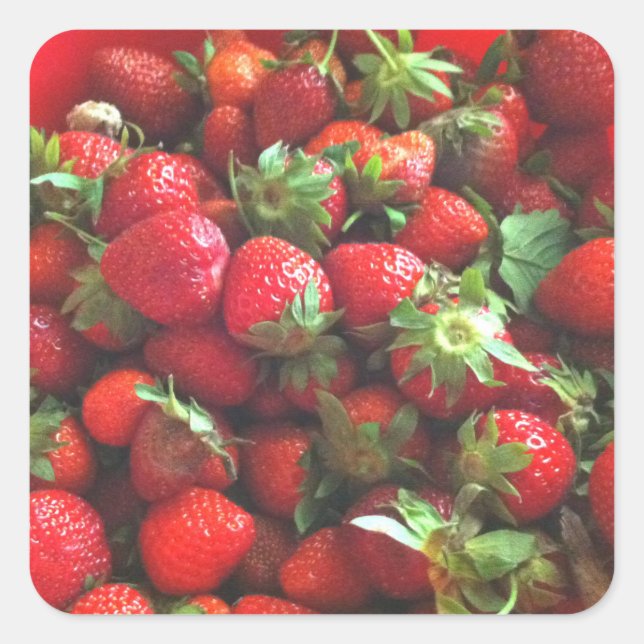 Strawberries Square Sticker (Front)