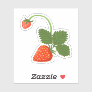 Strawberries Sticker