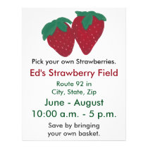 Strawberries Strawberry Farm Flyers