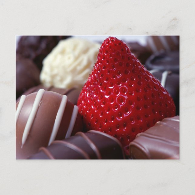 Strawberry and Chocolates Postcard (Front)