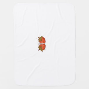Strawberry baby blanket