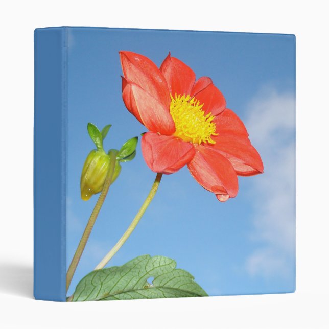 Strawberry Blossom Flower 3 Ring Binder (Front/Spine)