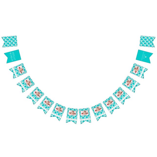 Strawberry Boy First Birthday Milestones Photos Bunting Flags (All)