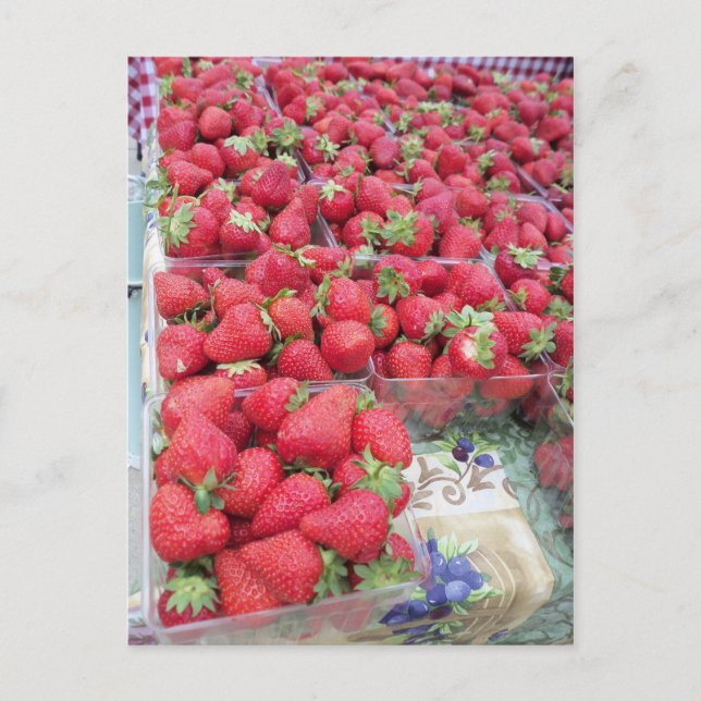 Strawberry Bunch Postcard (Front)