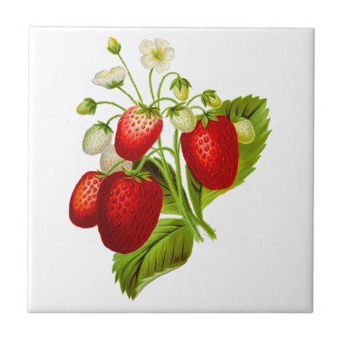 Strawberry Ceramic Tile