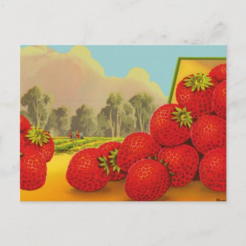 Strawberry Crate Label Art Editable Vintage Blank Postcard