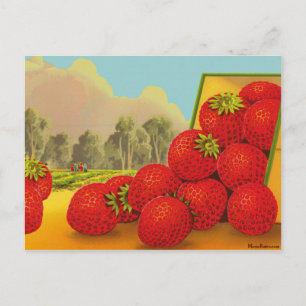 Strawberry Crate Label Vintage Art Blank Postcard