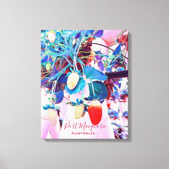 Strawberry farm Port Macquarie Australia Canvas Print (Front)