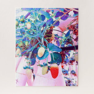 Strawberry farm Port Macquarie Australia Jigsaw Puzzle