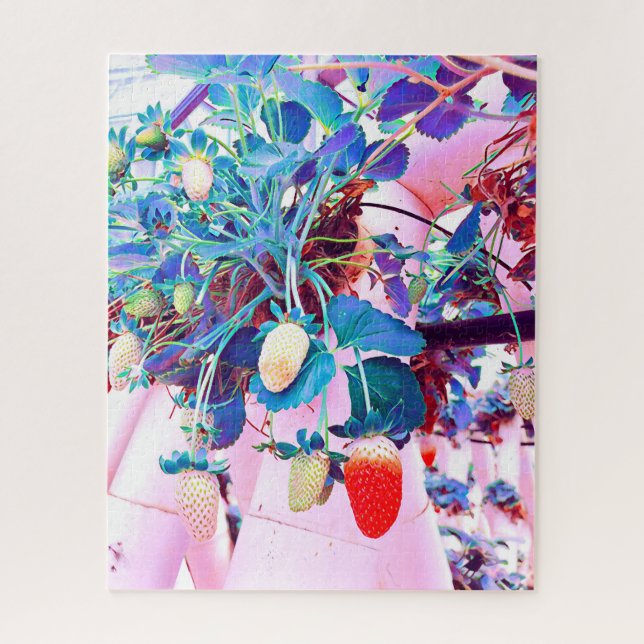 Strawberry farm Port Macquarie Australia Jigsaw Puzzle (Vertical)