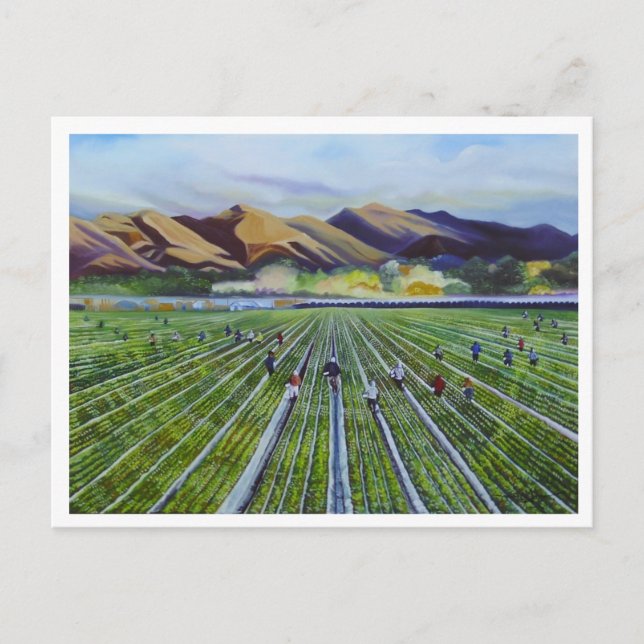 Strawberry Fields Postcard (Front)