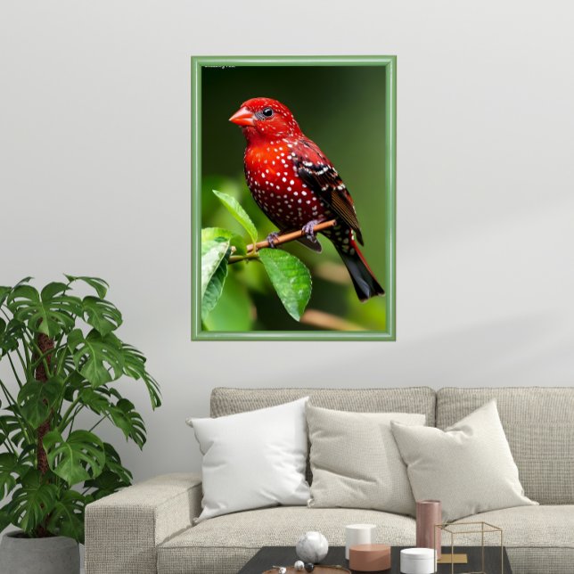 Strawberry Finch  Poster (Creator Uploaded)