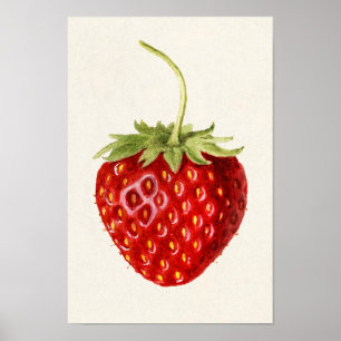 Strawberry (Fragaria) Fruit Watercolor Painting Poster