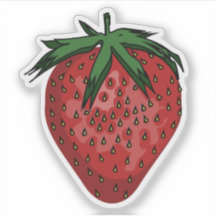 Strawberry Fruit Illustration
