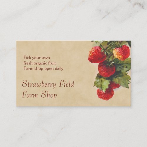 Strawberry fruit sales business card