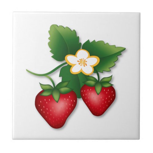 Strawberry Garden to Kitchen Ceramic Tile