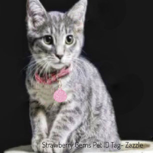 Strawberry Gems Pet ID Tag