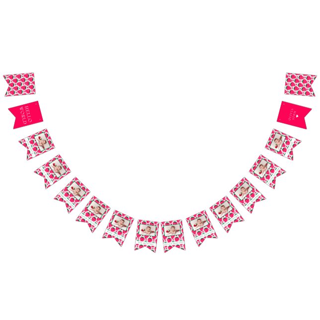 Strawberry Girl 1st Birthday Milestones Photos  Bunting Flags (All)