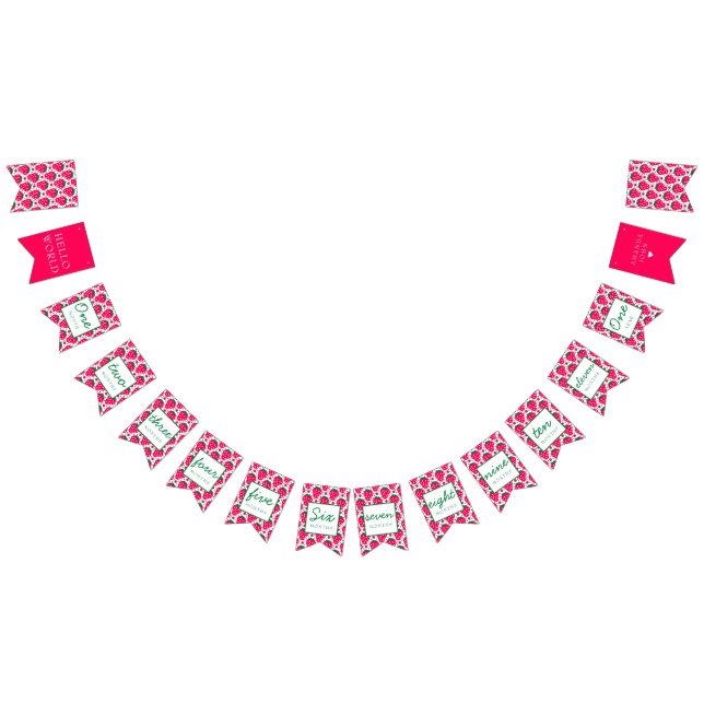 Strawberry Girl Berry 1st Birthday Milestones Bunting Flags (All)