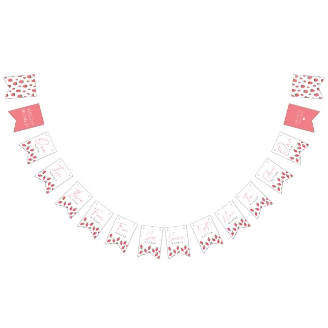 Strawberry Girl Berry First Birthday Milestones Bunting Flags (All)