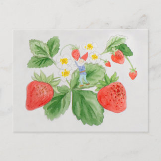Strawberry Gnome Postcard