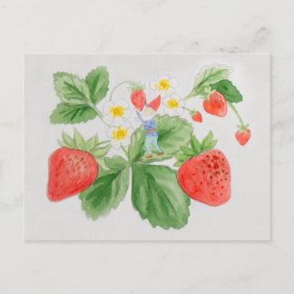 Strawberry Gnome Postcard