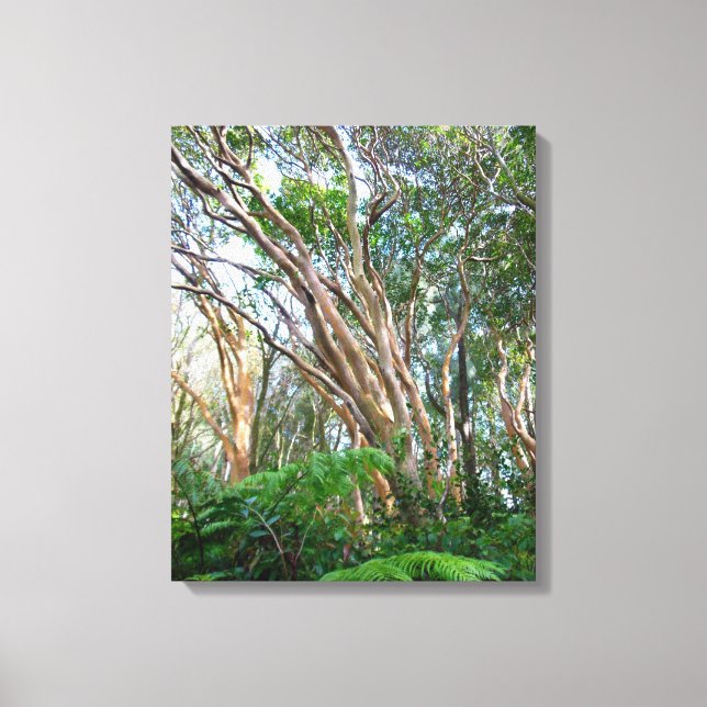 Strawberry Guava Trees Canvas Print (Front)