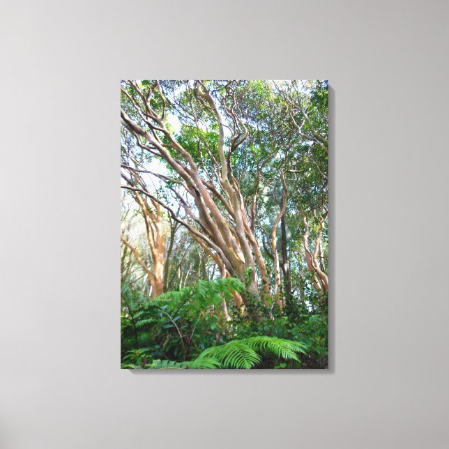 Strawberry Guava Trees Canvas Print (Front)