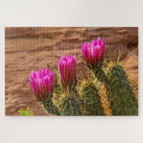 Strawberry hedgehog cactus triplets jigsaw puzzle