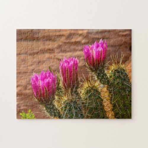 Strawberry Hedgehog cactus triplets jigsaw puzzle