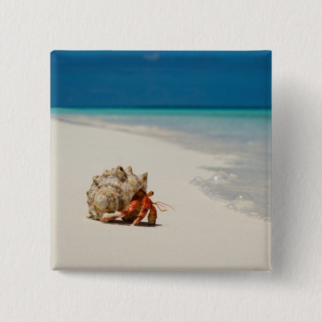 Strawberry Hermit Crab | Coenobita Perlatus Button (Front)