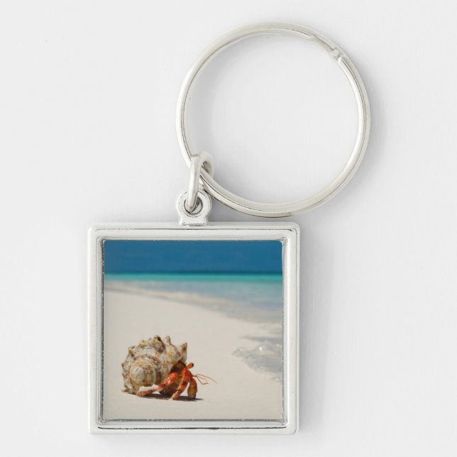Strawberry Hermit Crab | Coenobita Perlatus Keychain (Front)