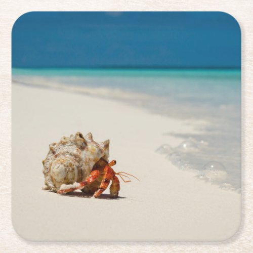 Strawberry Hermit Crab  Coenobita Perlatus Square Paper Coaster