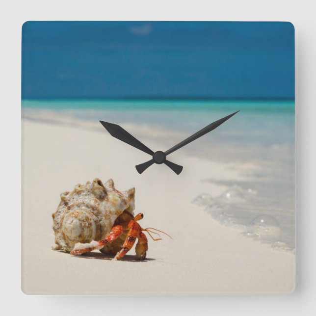 Strawberry Hermit Crab | Coenobita Perlatus Square Wall Clock (Front)