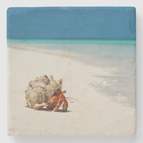 Strawberry Hermit Crab  Coenobita Perlatus Stone Coaster