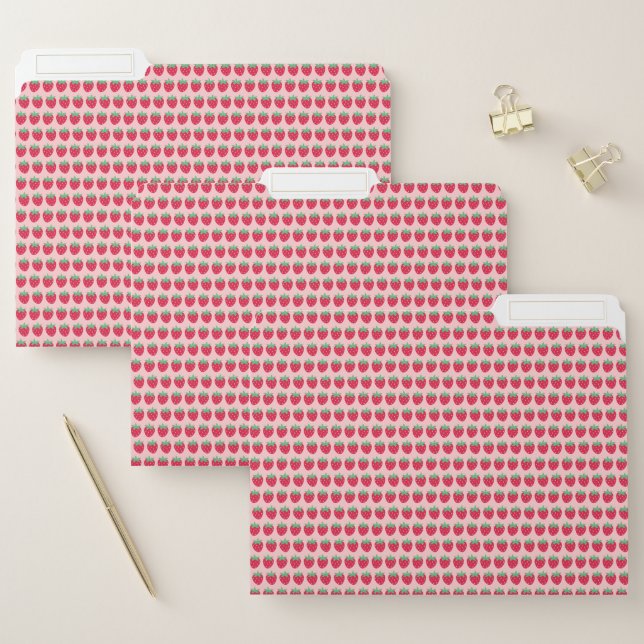 Strawberry Pattern File Folder (Set)