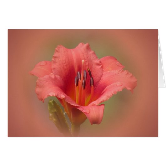 Strawberry Petals Cards (Front Horizontal)