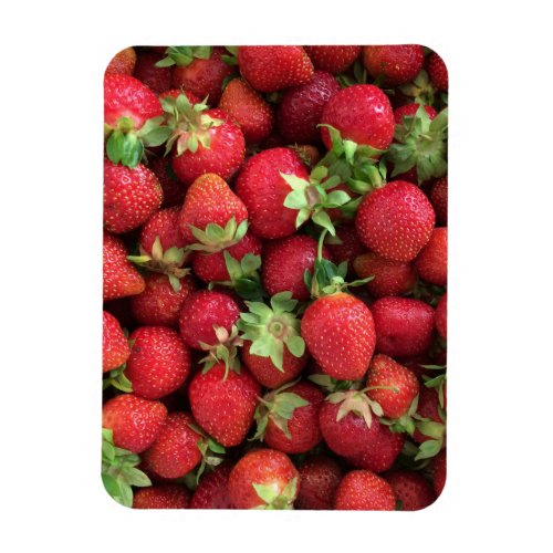 Strawberry photo magnet