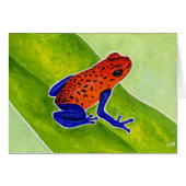 Strawberry Poison Dart Frog (Front Horizontal)