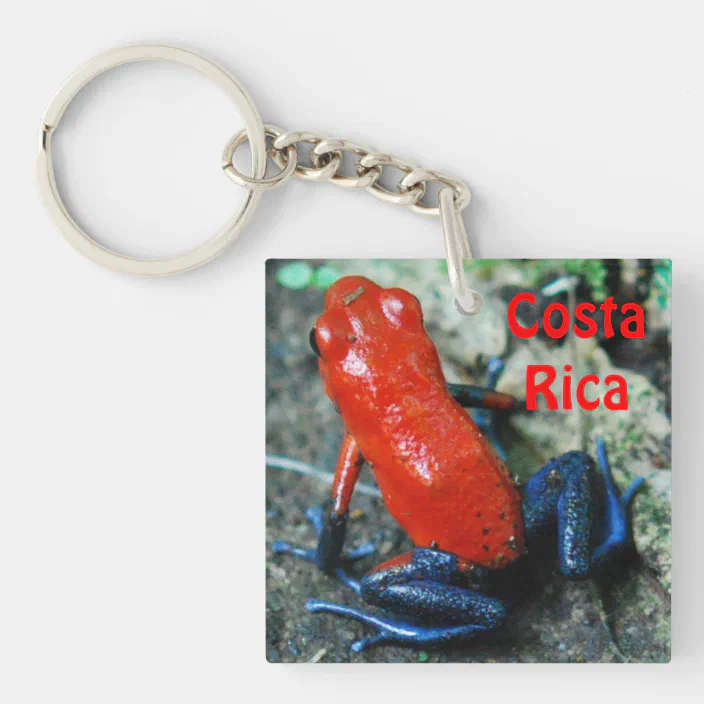 Rainforest Red Eyed Tree Frog and Ant Heart Love Metal Keychain Key Chain Ring 