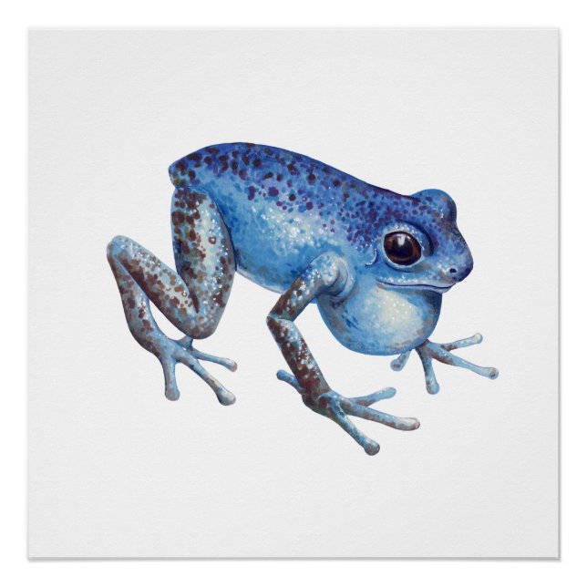Strawberry Poison dart frog Poster (Front)
