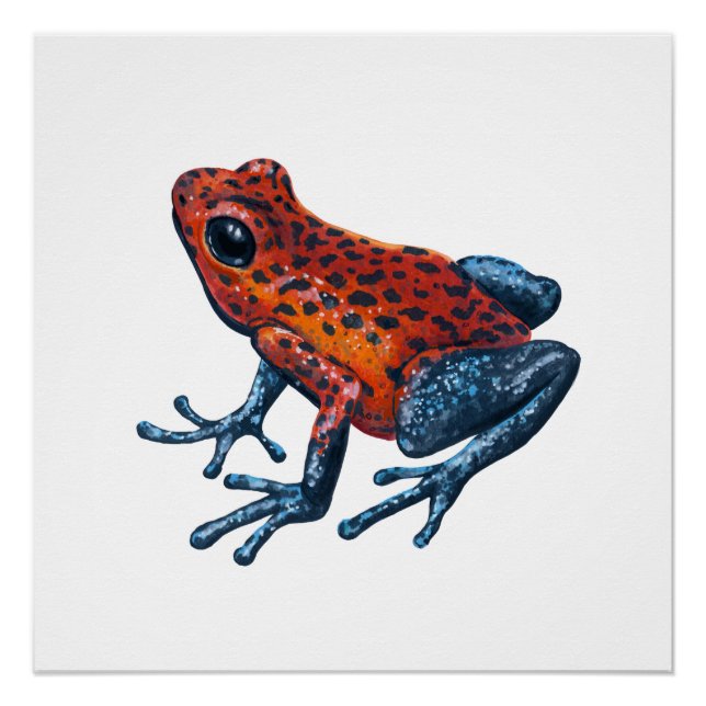 Strawberry Poison dart frog Poster (Front)