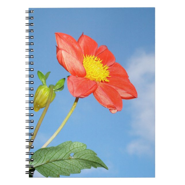 Strawberry red Blossom Flower Notebook (Front)