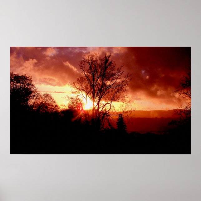 Strawberry Sunrise Poster (Front)