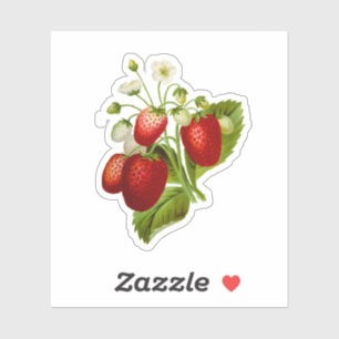 Strawberry Vinyl Stickers Seals Strawberries