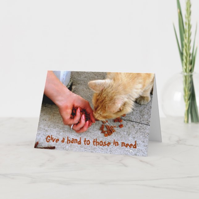 Stray Cat Hawaii Shelter Pets Holiday Card (Front)