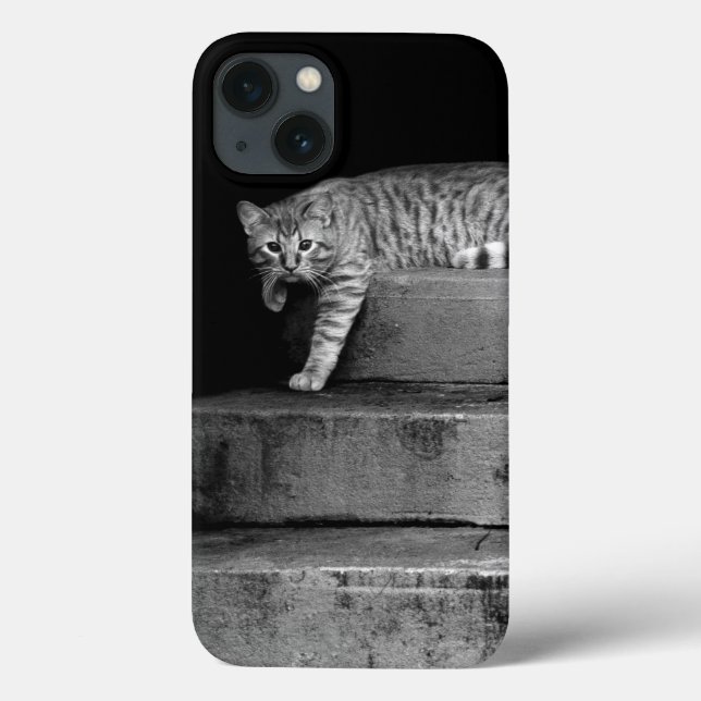 Stray Cat on Stairs Case-Mate iPhone Case (Back)