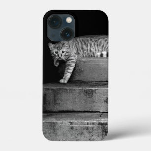 Stray Cat on Stairs iPhone 13 Mini Case